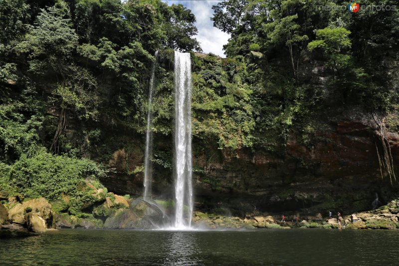 Fotos de Salto De Agua, Chiapas: Cascada de Misol-Ha