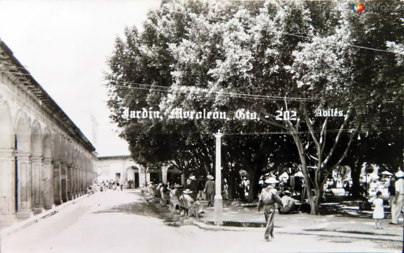 Fotos de Moroleón, Guanajuato: Jardin.( Circulada el 20  de Junio de 1957 ).