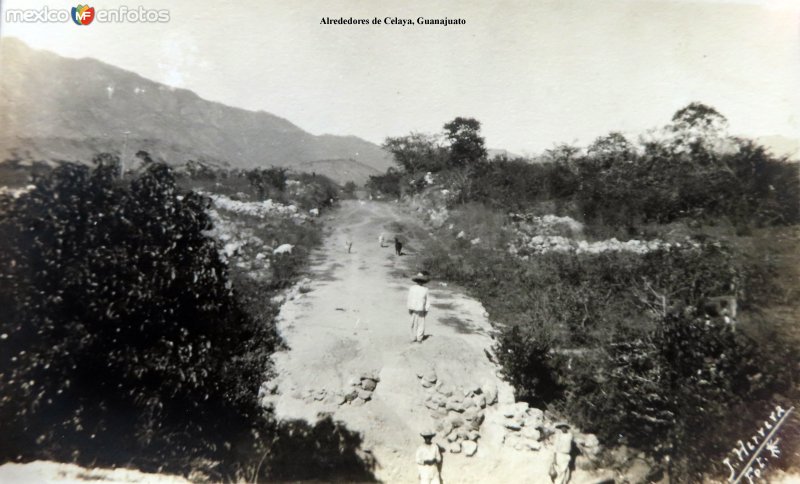 Fotos de Celaya, Guanajuato: Alrededores de Celaya, Guanajuato.