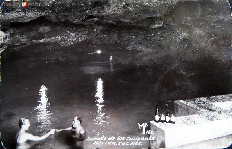Fotos de Mérida, Yucatán: Cenote los Tulipanes ( Circulada el 11 de Junio de 1966 ).