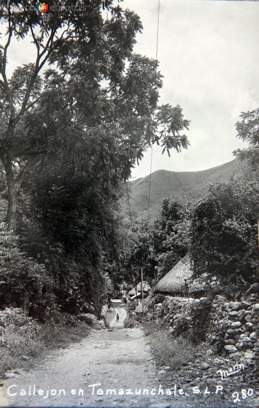 Fotos de Tamazunchale, San Luis Potosí: Callejon.