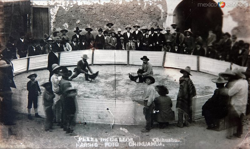 Fotos de Chihuahua, Chihuahua: La Plaza de gallos.