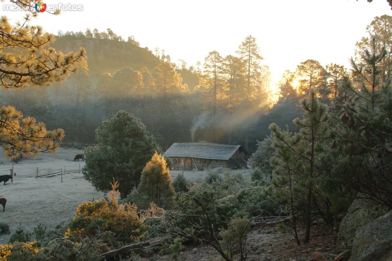 Fotos de Guanaceví, Durango: El Maguey, Guanaceví, Dgo.