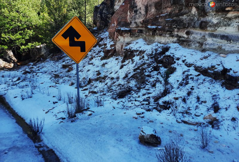 Fotos de Bocoyna, Chihuahua: Nieve