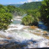 Cascadas de Agua Azul