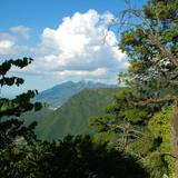 Bosque de Chipinque