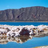 Laguna de Alchichica