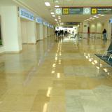 Aeropuerto Internacional Francisco Sarabia