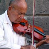 Violinista