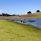 Laguna de Puerto del Aire