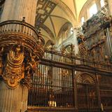 Área del órgano de la Catedral Metropolitana