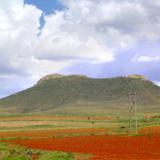 Paisajes de Mapimí