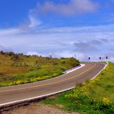 Carretera Transpeninsular (México-1)