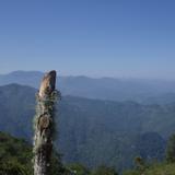 paisaje de nactanca