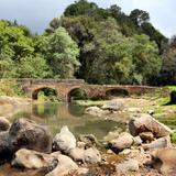 Puente de san Pedro