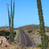 Carretera Transpeninsular (México - 1)