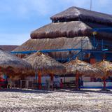Playa del Tecolote