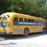 el autobus