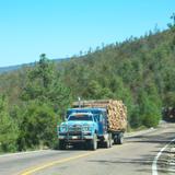 trailer cargado de madera