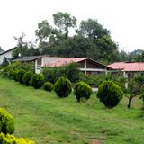 Cabañas los Jilgueros - Zacatlán