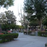 Plaza Miguel Hidalgo, Palacio Municipal