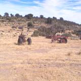 tractores viejos en lasierra de parreños.