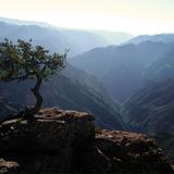 Naturaleza de Barrancas del Cobre