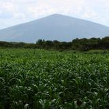 La Gavia. Cerro El Culiacán