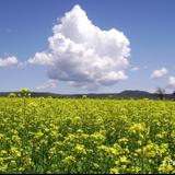 pisajes de la sierra norte de puebla