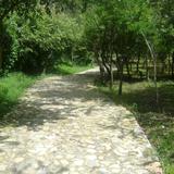Calzada de acceso a la zona arqueológica de Chalcatzingo. Agosto/2011