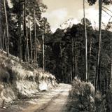 Camino al Volcán Nevado de Toluca