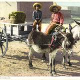 Carro transportador de agua en México