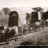 Carretas en Oaxaca