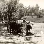 Carreta de bueyes en Morelia