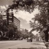 Paseo de la Reforma