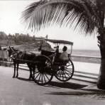 Malecón Olas Altas