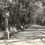 Jardín de San Marcos