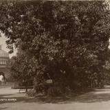 Alameda de Santa María