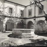 Patio de Los Naranjos