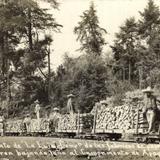 Campamento de La Laja, Compañía de las fábricas de papel de San Rafael. Tren bajando leña.