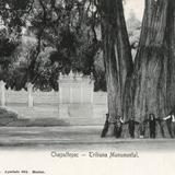 Chapultepec