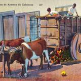 Carreta de transporte de calabaza