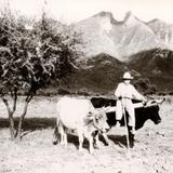 Arando la tierra junto al Cerro de la Silla