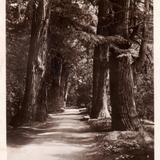 Parque de Chapultepec