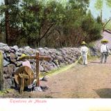 Tejedores de mecate (cuerdas)