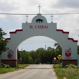 EL CEDRAL