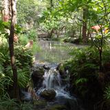 Aguas termales en Los Manantiales, Morelos. Julio/2013