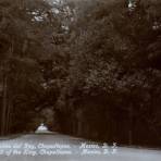 Calzada del Molino del Rey, en Chapultepec