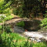 Antiguo Puente de Piedra sobre el Río Chignahuapan, a su paso por Quetzalapan