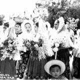 Tehuanas